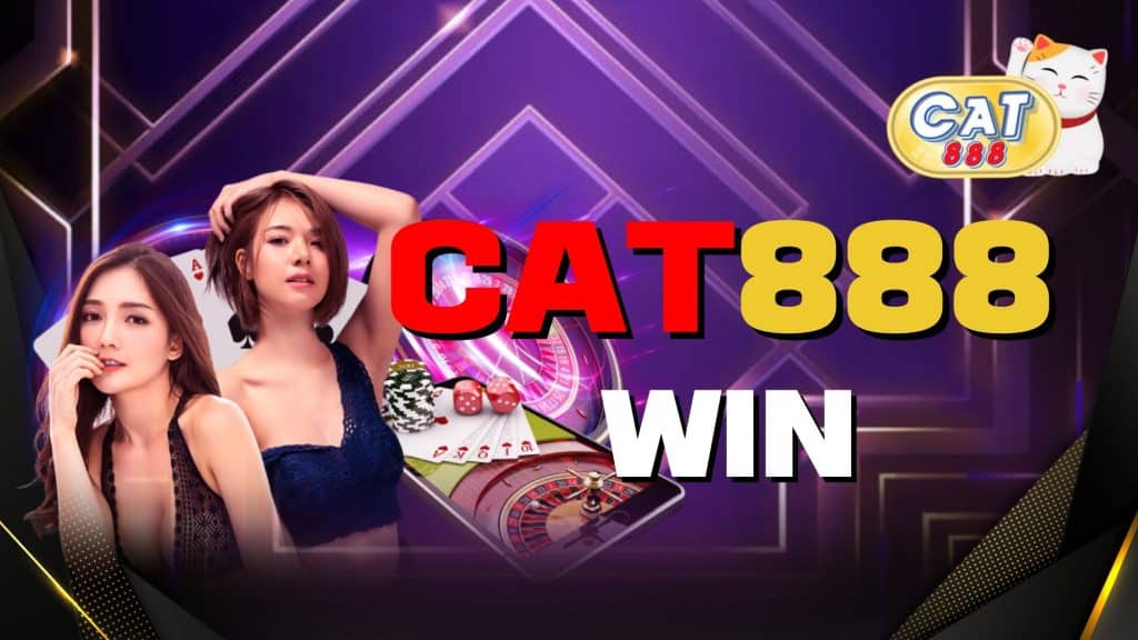 cat888 win